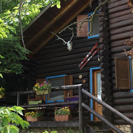B&B Le Corone - Chalet Nel Bosco Cavalo エクステリア 写真
