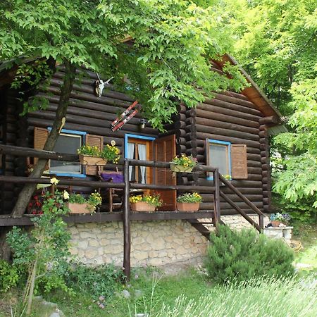 B&B Le Corone - Chalet Nel Bosco Cavalo エクステリア 写真