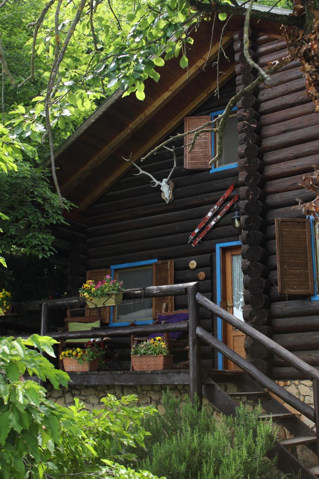 B&B Le Corone - Chalet Nel Bosco Cavalo エクステリア 写真
