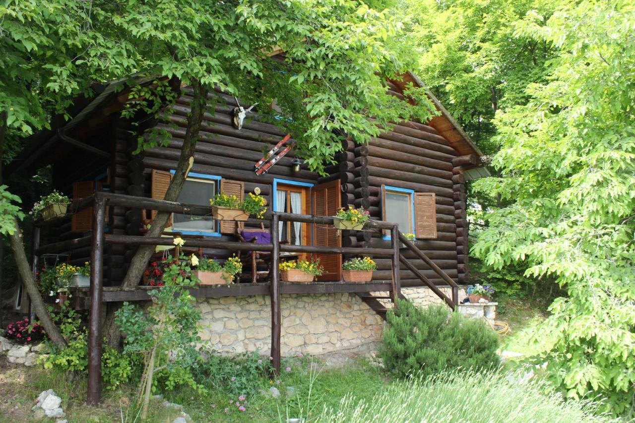 B&B Le Corone - Chalet Nel Bosco Cavalo エクステリア 写真