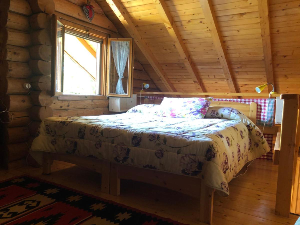 B&B Le Corone - Chalet Nel Bosco Cavalo エクステリア 写真