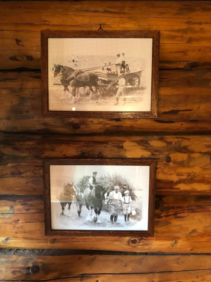 B&B Le Corone - Chalet Nel Bosco Cavalo エクステリア 写真