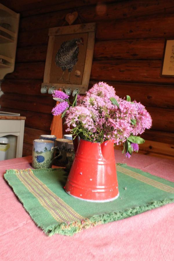B&B Le Corone - Chalet Nel Bosco Cavalo エクステリア 写真