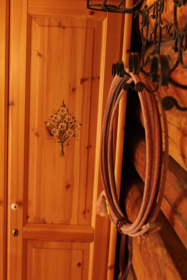 B&B Le Corone - Chalet Nel Bosco Cavalo エクステリア 写真