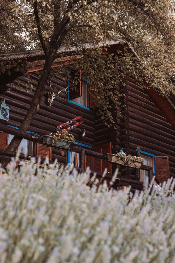 B&B Le Corone - Chalet Nel Bosco Cavalo エクステリア 写真