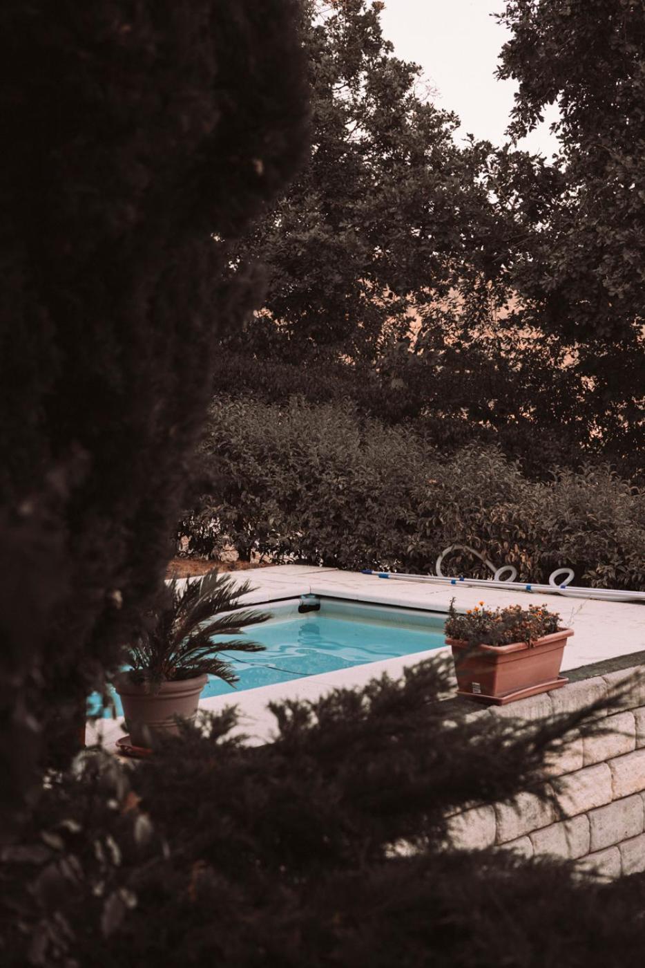 B&B Le Corone - Chalet Nel Bosco Cavalo エクステリア 写真